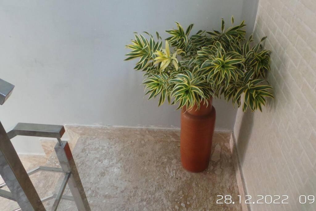 Camaçari Excelente Casa Com Piscinaヴィラ エクステリア 写真